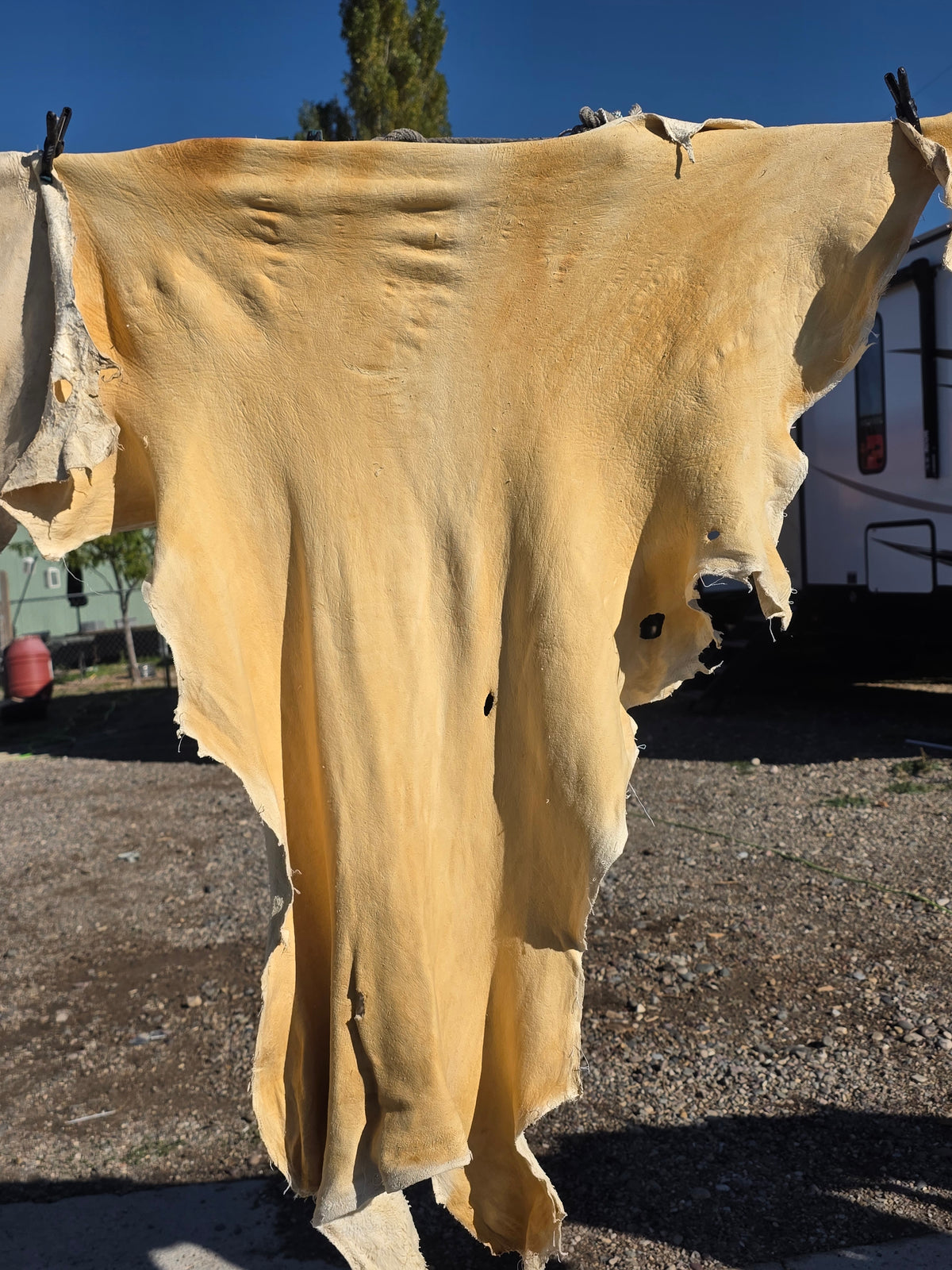 Smoked hide 40x36