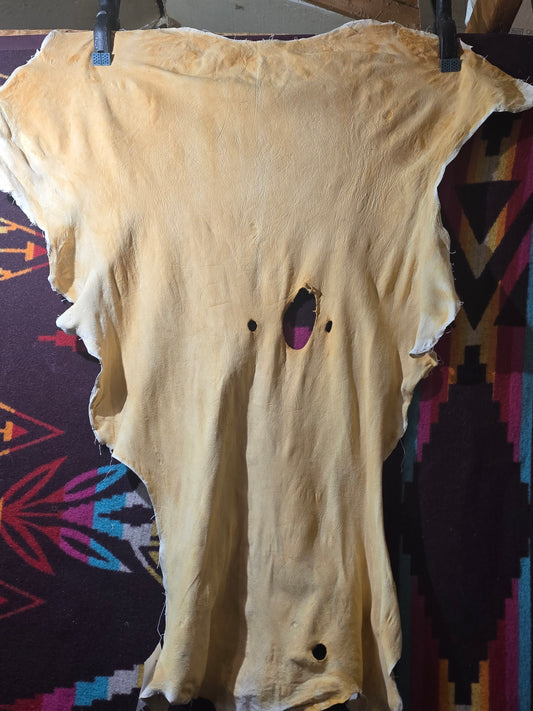 Smoked hide 42x,33