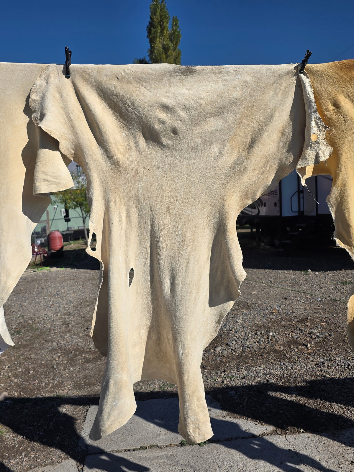 White hide 47x38