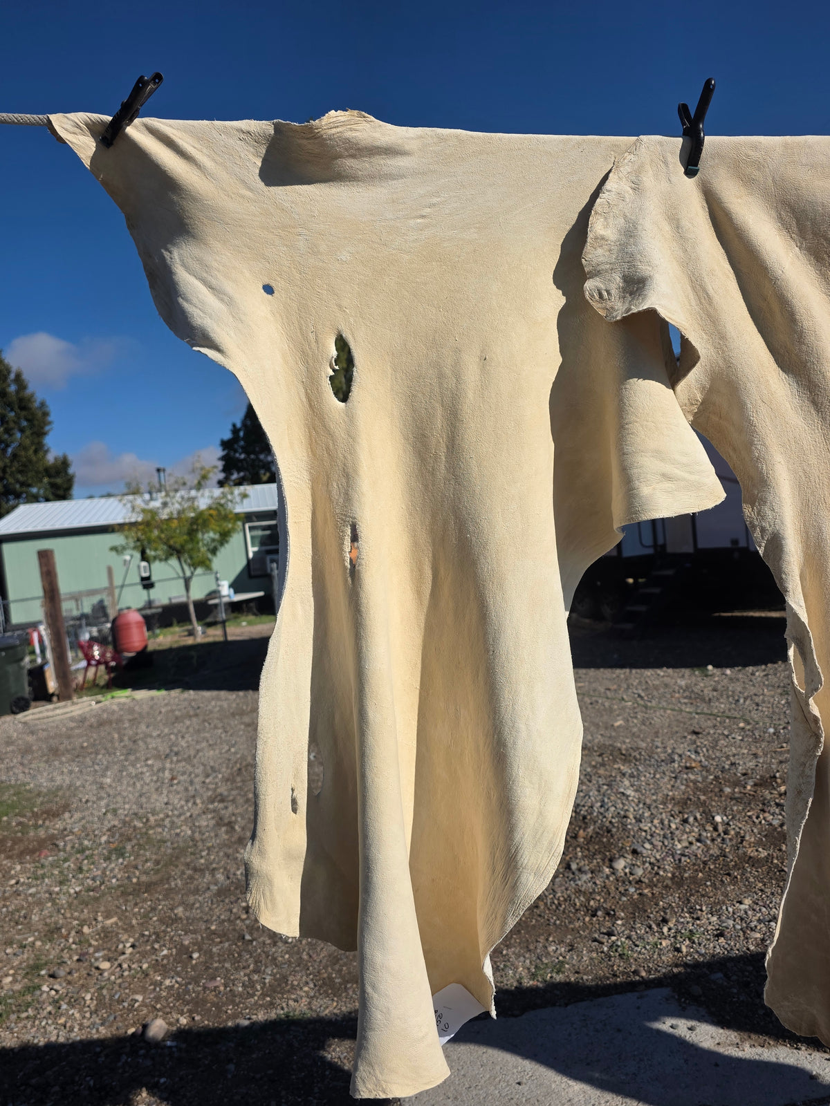 White hide 36x26